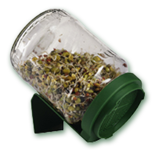 Biosnacky Glass Jar Germinator Biosnacky Glass Jar Germinator