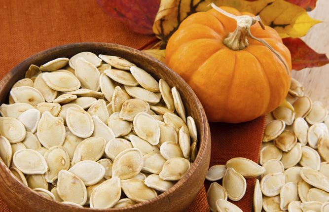 Image result for image of Pumpkin seed