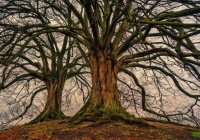 Boost your immune system for the winter season (jplenio@pb) Boost your immune system for the winter season (jplenio@pb)