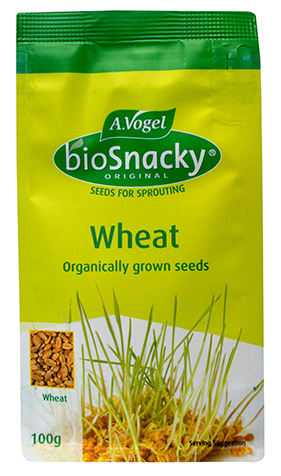 bioSnacky wheat sprouting seeds 
