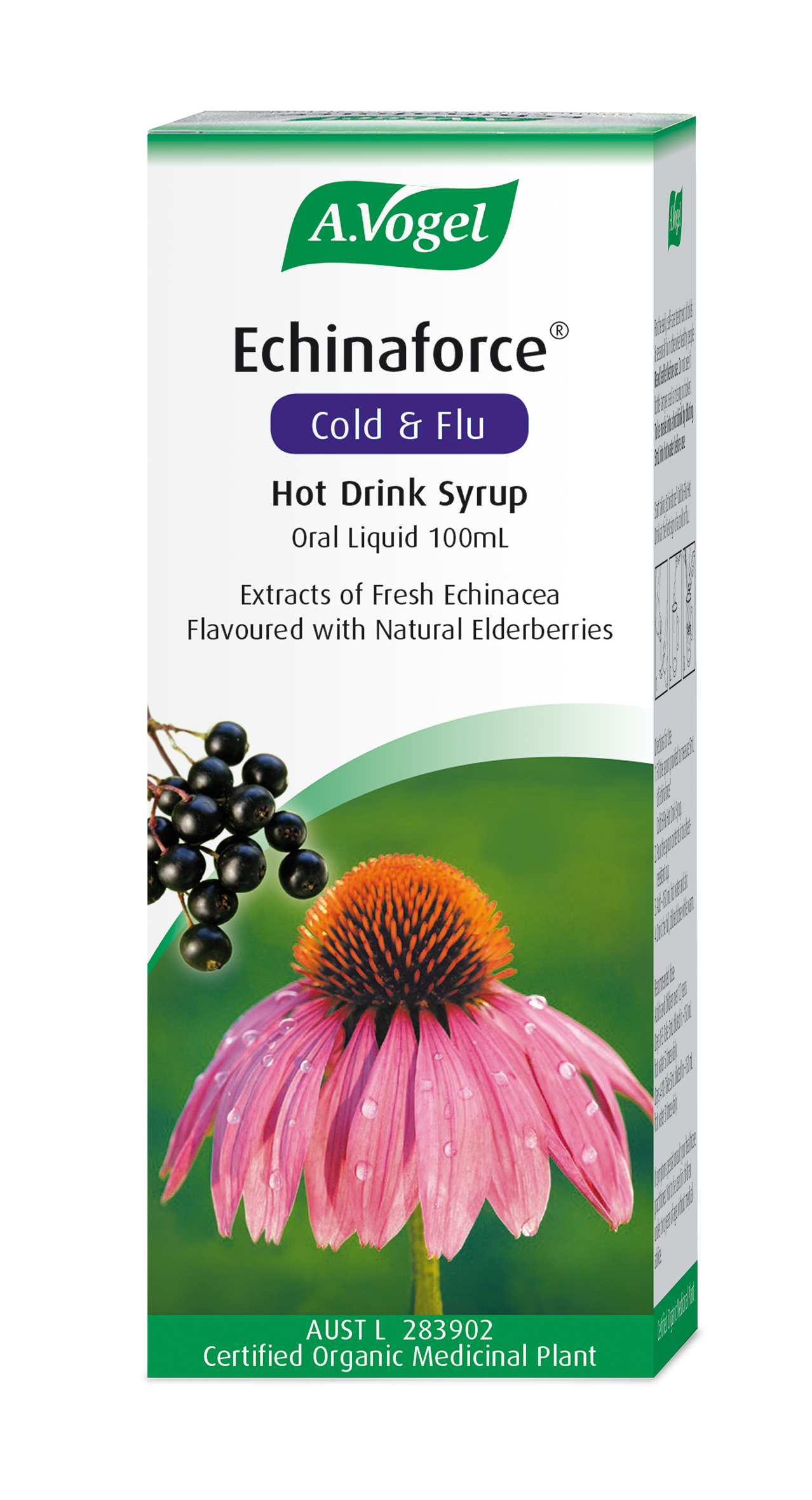 Echinaforce Cold and Flu Hot Drink