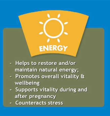 Strath Benefits Energy